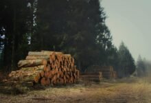 device management and monitoring