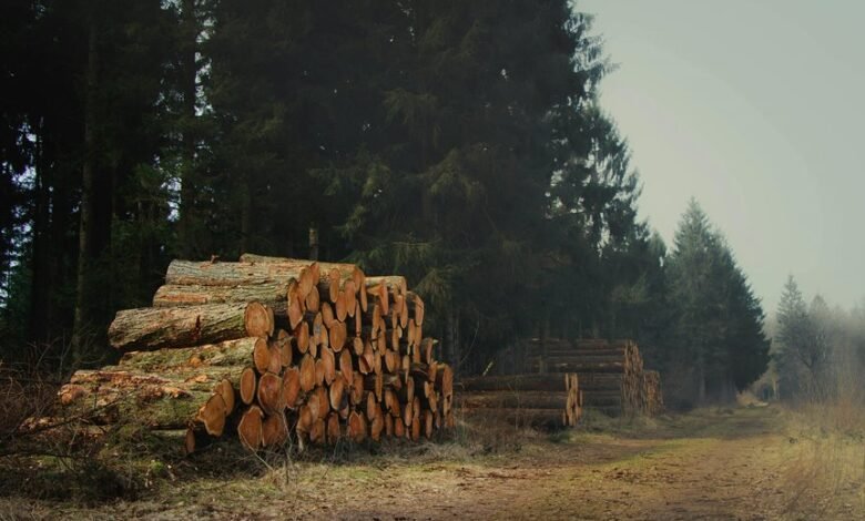 device management and monitoring