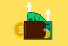 revenue growth from vector